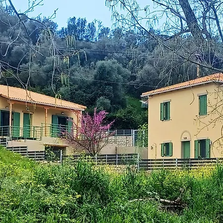 Miliasia * Kondaraíni